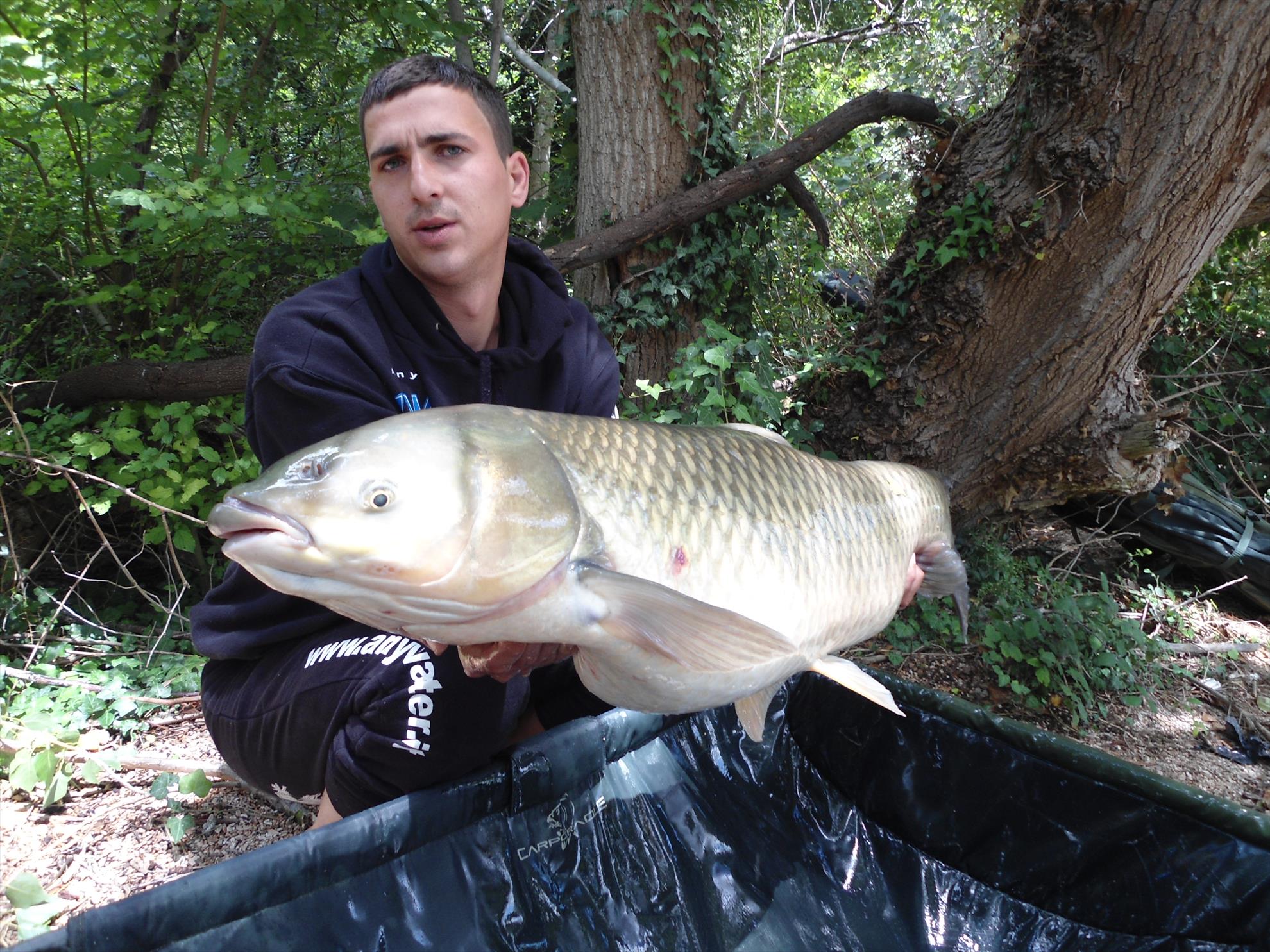 Ape libere cu Any Water - dsc04625.JPG